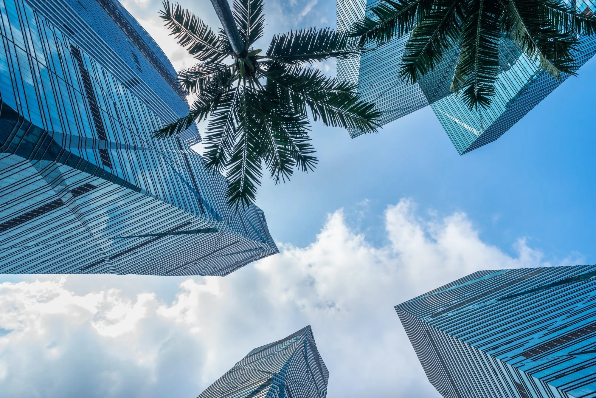 Dubai defies forecasts with 20% growth in its real estate market in 2025